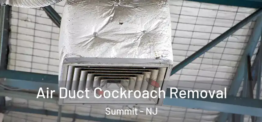 Air Duct Cockroach Removal Summit - NJ