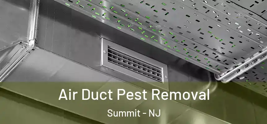  Air Duct Pest Removal Summit - NJ