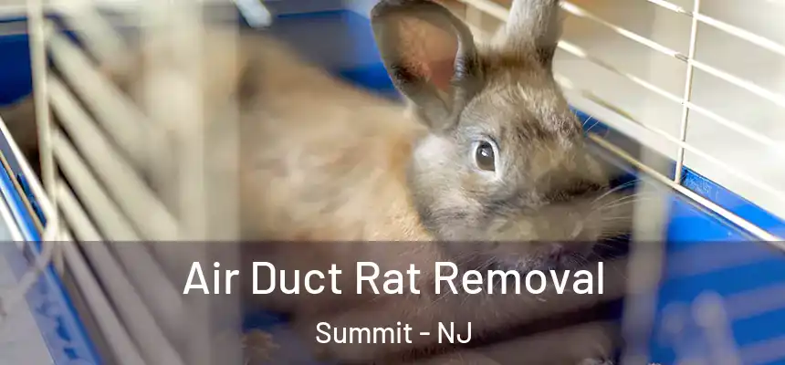  Air Duct Rat Removal Summit - NJ