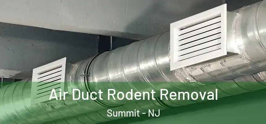 Air Duct Rodent Removal Summit - NJ