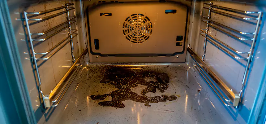 Our Dryer Vent Mold Cleaning Services in Summit, NJ