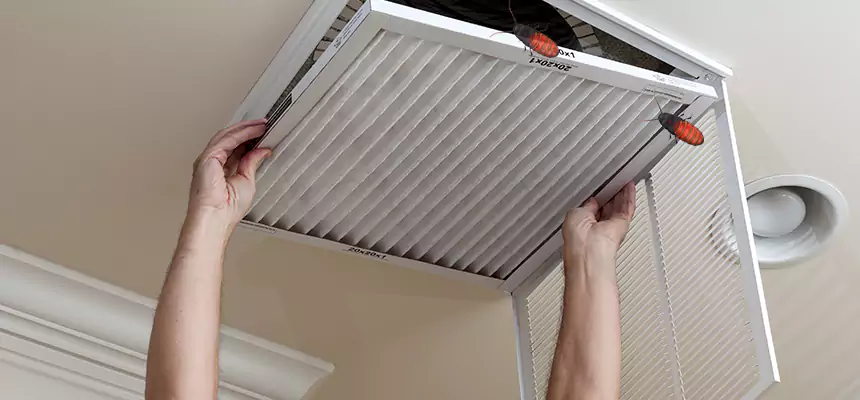 Our Insect Removal from Air Ducts Services in Summit, NJ