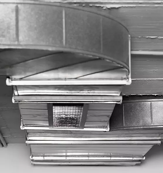 Professional Air Duct Pest Removal in Summit, NJ