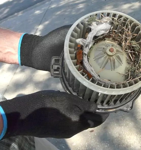 About Air Duct Rat Removal in Summit, NJ