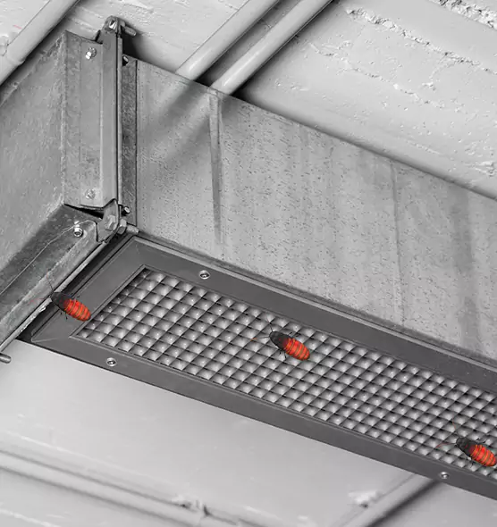 Affordable Insect Removal from Air Ducts in Summit, NJ